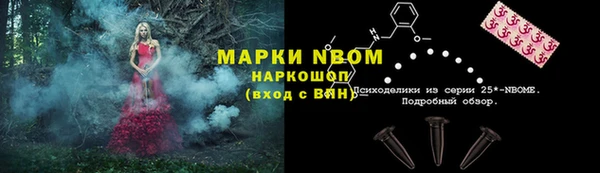 гашик Аркадак