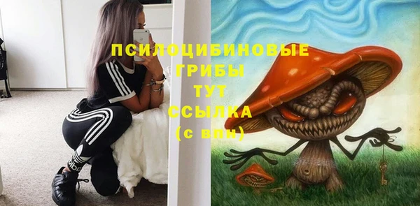 гашик Аркадак