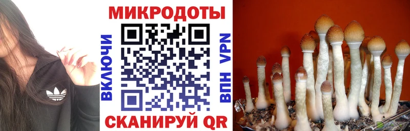 Псилоцибиновые грибы GOLDEN TEACHER  сколько стоит  Сасово 